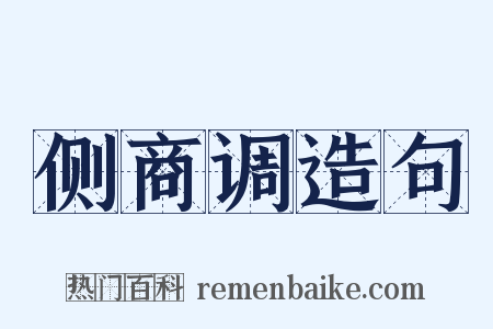 侧商调造句是什么意思的图片